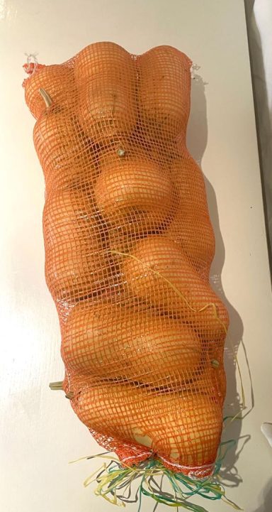 A mesh bag filled with several butternut squashes.
